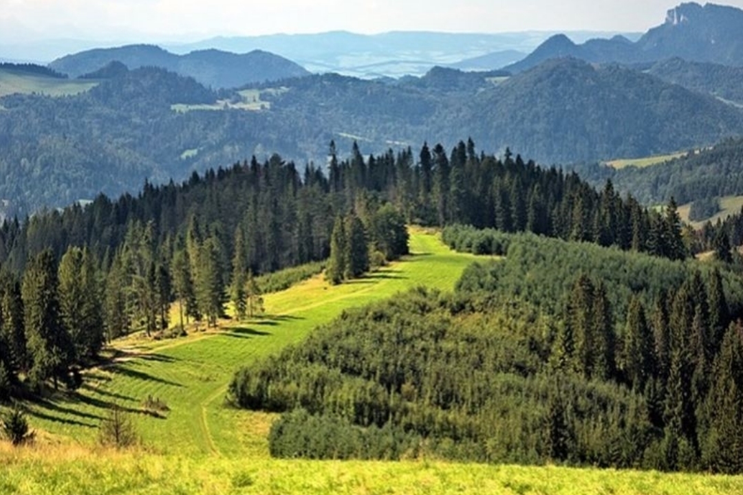 Międzynarodowy Konkurs Plastyczny MIESZKAM w BESKIDACH