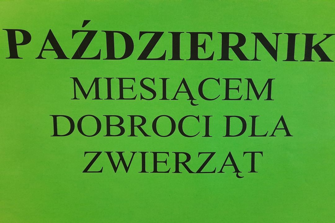 ZBIÓRKA KARMY DLA ZWIERZĄT. KONKURS.