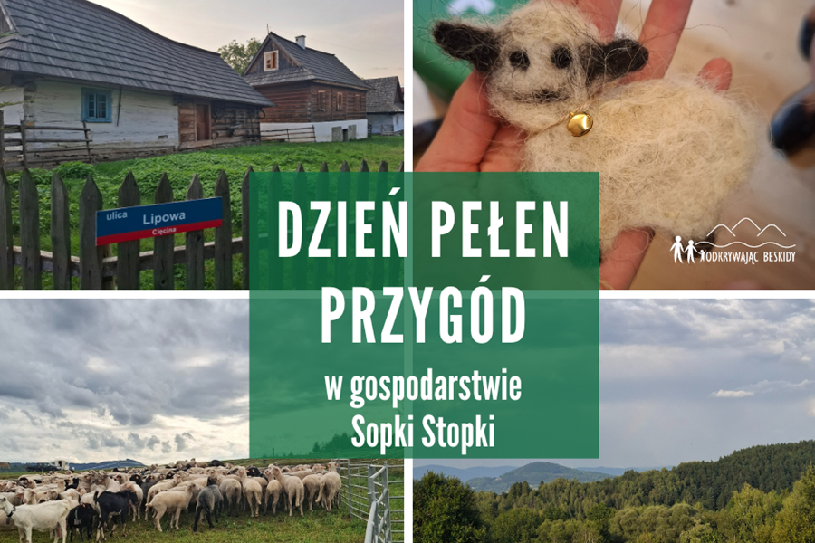 Warsztaty pasterskie w ramach projektu Z pradziadami - góralami